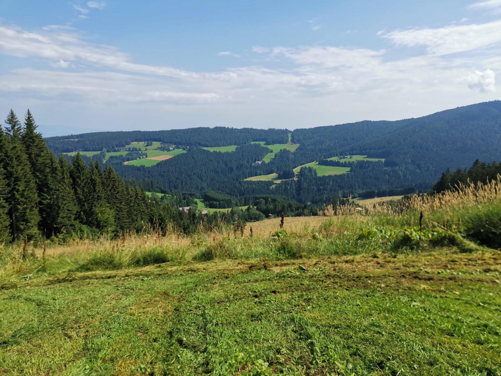 Gaestehaus Hebalm, Family & Friends Auf 900 M2 Wohnflaeche Erleben, Alleinnutzung Moeglich Pack 외부 사진